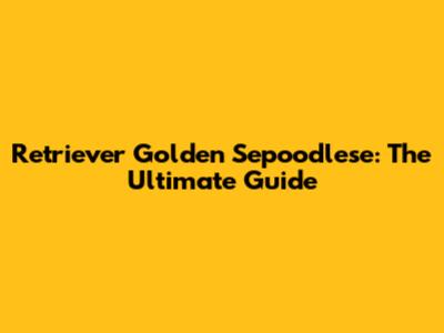 Retriever Golden Sepoodlese: The Ultimate Guide