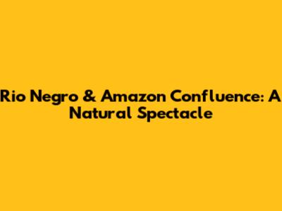 Rio Negro & Amazon Confluence: A Natural Spectacle