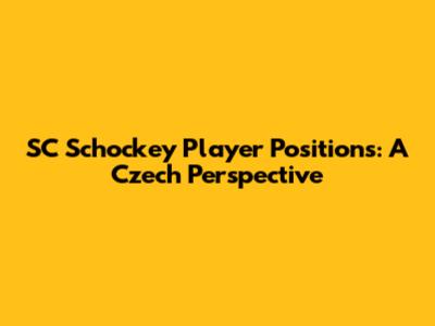 SC Schockey Player Positions: A Czech Perspective