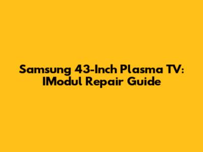 Samsung 43-Inch Plasma TV: IModul Repair Guide