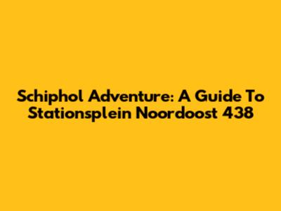 Schiphol Adventure: A Guide To Stationsplein Noordoost 438
