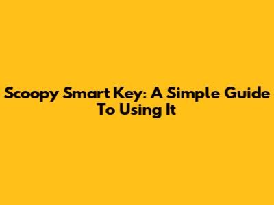 Scoopy Smart Key: A Simple Guide To Using It