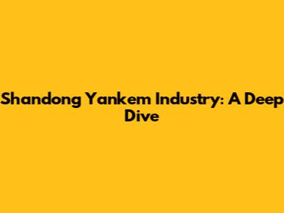 Shandong Yankem Industry: A Deep Dive