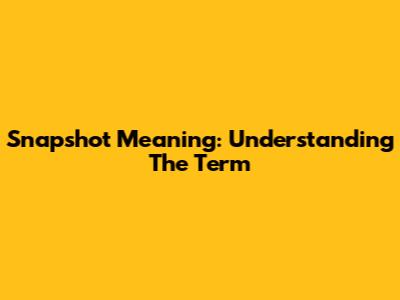 Snapshot Meaning: Understanding The Term