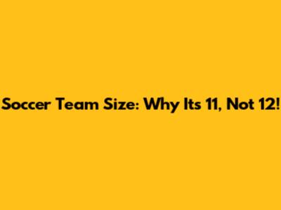 Soccer Team Size: Why It's 11, Not 12!