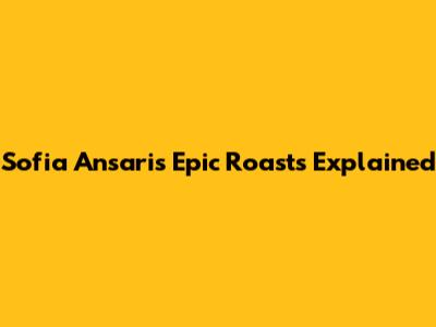 Sofia Ansari's Epic Roasts Explained