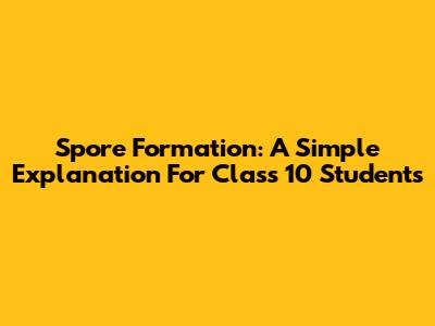 Spore Formation: A Simple Explanation For Class 10 Students