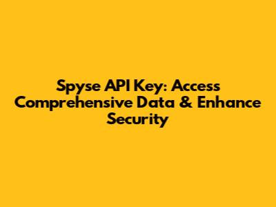 Spyse API Key: Access Comprehensive Data & Enhance Security