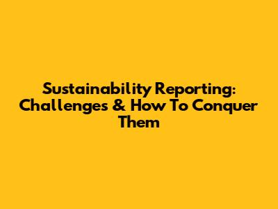 Sustainability Reporting: Challenges & How To Conquer Them