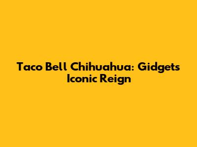 Taco Bell Chihuahua: Gidget's Iconic Reign