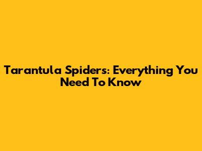 Tarantula Spiders: Everything You Need To Know