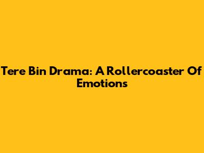 Tere Bin Drama: A Rollercoaster Of Emotions