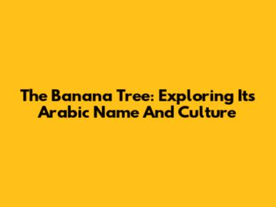 The Banana Tree: Exploring Its Arabic Name And Culture