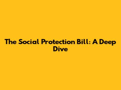 The Social Protection Bill: A Deep Dive
