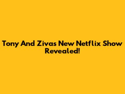 Tony And Ziva's New Netflix Show Revealed!