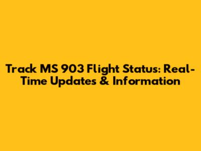 Track MS 903 Flight Status: Real-Time Updates & Information