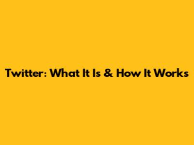 Twitter: What It Is & How It Works