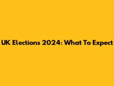 UK Elections 2024: What To Expect