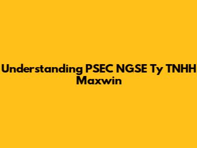 Understanding PSEC NGSE Ty TNHH Maxwin