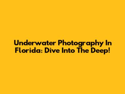 Underwater Photography In Florida: Dive Into The Deep!