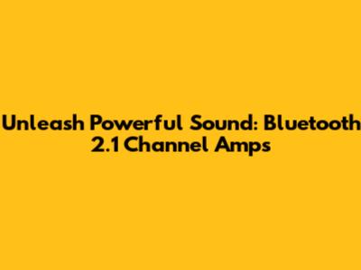 Unleash Powerful Sound: Bluetooth 2.1 Channel Amps
