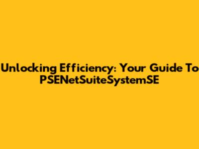 Unlocking Efficiency: Your Guide To PSENetSuiteSystemSE