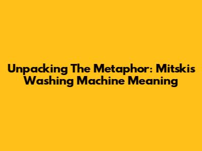 Unpacking The Metaphor: Mitski's Washing Machine Meaning