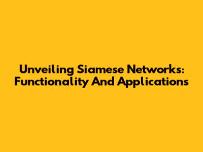 Unveiling Siamese Networks: Functionality And Applications