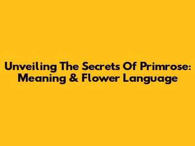 Unveiling The Secrets Of Primrose: Meaning & Flower Language