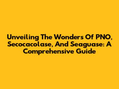Unveiling The Wonders Of PNO, Secocacolase, And Seaguase: A Comprehensive Guide