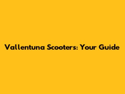 Vallentuna Scooters: Your Guide