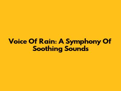 Voice Of Rain: A Symphony Of Soothing Sounds