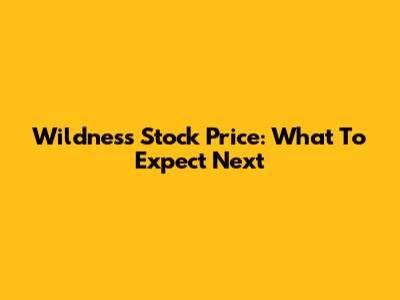 Wildness Stock Price: What To Expect Next