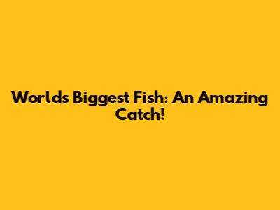 World's Biggest Fish: An Amazing Catch!