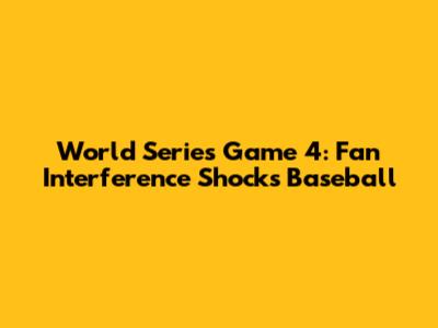 World Series Game 4: Fan Interference Shocks Baseball